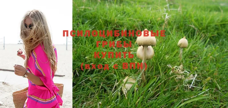 сколько стоит  МЕГА   Галлюциногенные грибы Psilocybine cubensis  Добрянка 